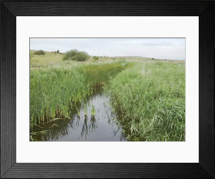 Framed Print : Picture No. 10887133 Framed Print : Picture No. 10887133