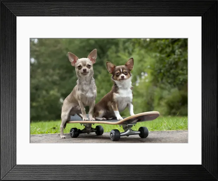 Framed Print : Picture No. 10887135 Framed Print : Picture No. 10887135