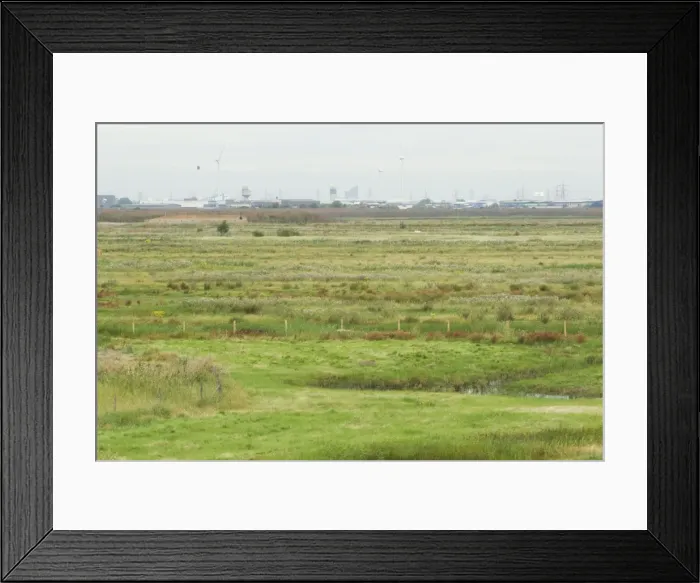 Framed Print : Picture No. 10887130