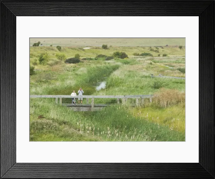 Framed Print : Picture No. 10887129 Framed Print : Picture No. 10887129