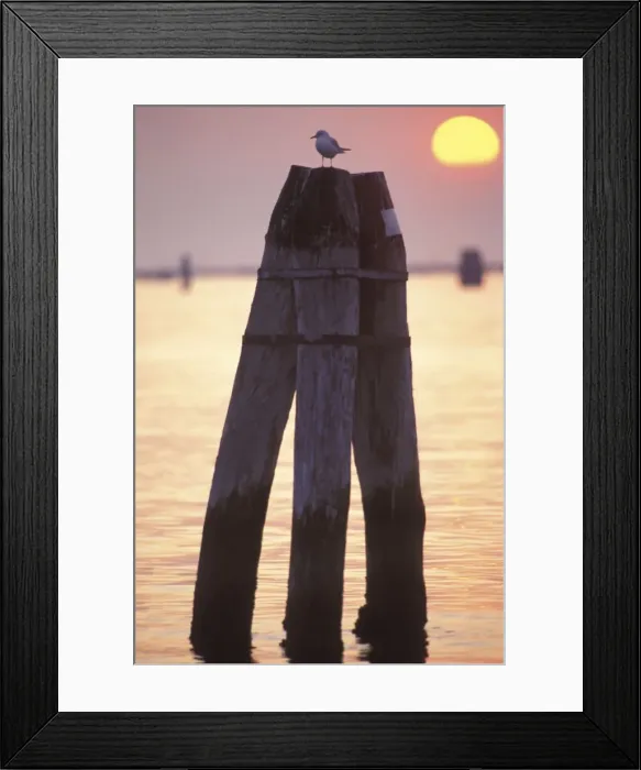 Framed Print : Picture No. 10887136 Framed Print : Picture No. 10887136