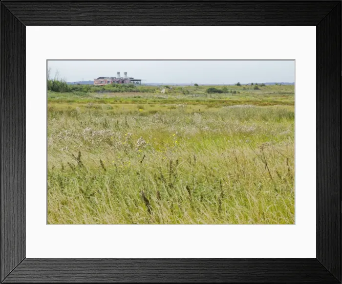 Framed Print : Picture No. 10887132 Framed Print : Picture No. 10887132