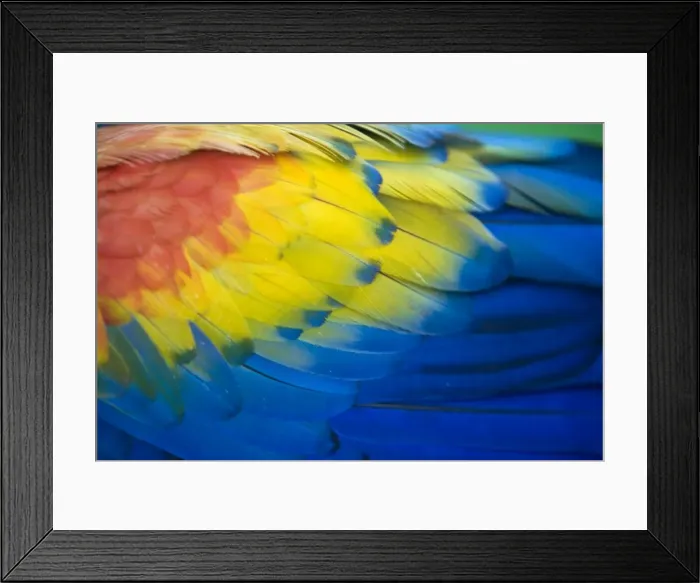Framed Print : Picture No. 10887140
