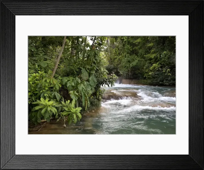Framed Print : Picture No. 10887142 Framed Print : Picture No. 10887142