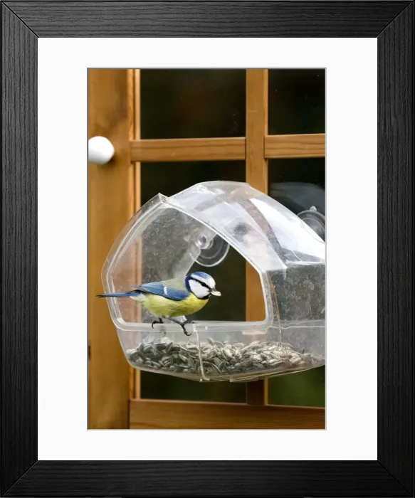 Framed Print : Picture No. 10887153 Framed Print : Picture No. 10887153