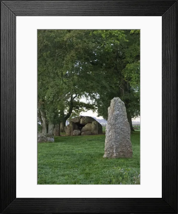 Framed Print : Picture No. 10887157 Framed Print : Picture No. 10887157