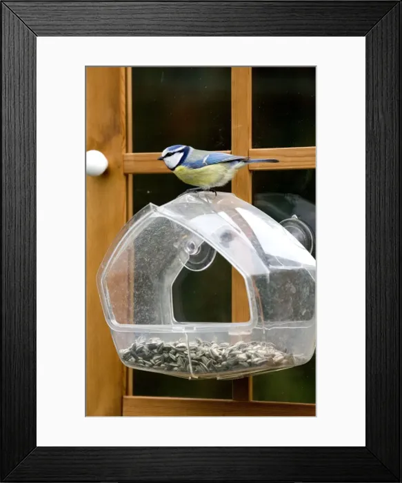 Framed Print : Picture No. 10887152 Framed Print : Picture No. 10887152