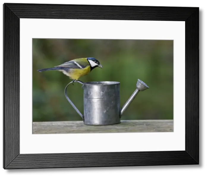 Framed Print : Picture No. 10887160 Framed Print : Picture No. 10887160