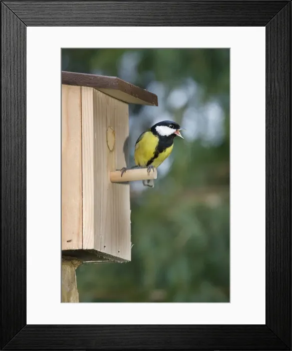 Framed Print : Picture No. 10887161 Framed Print : Picture No. 10887161