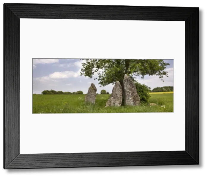 Framed Print : Picture No. 10887163 Framed Print : Picture No. 10887163