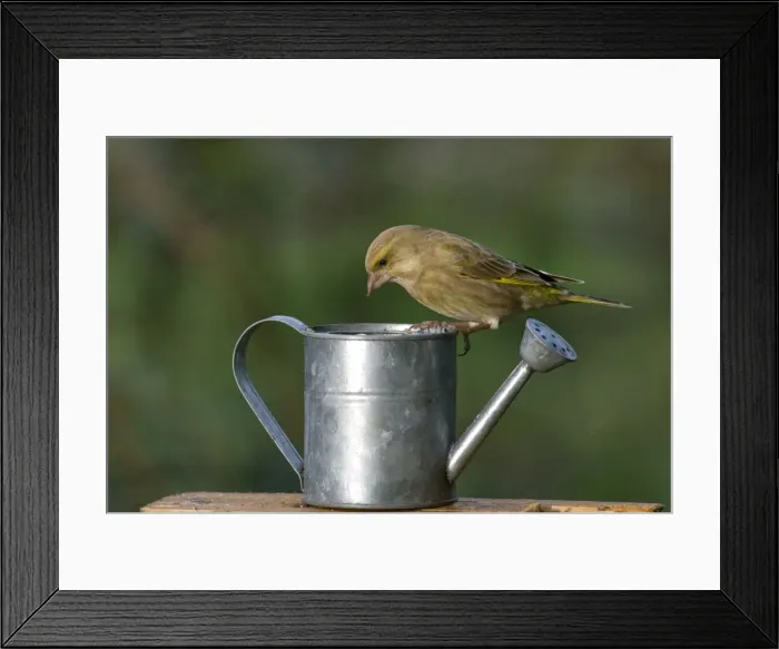 Framed Print : Picture No. 10887159 Framed Print : Picture No. 10887159