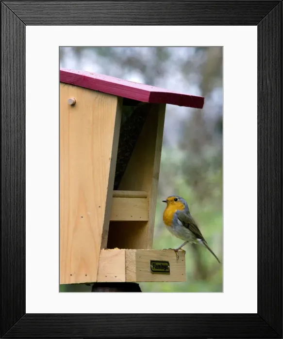Framed Print : Picture No. 10887165 Framed Print : Picture No. 10887165
