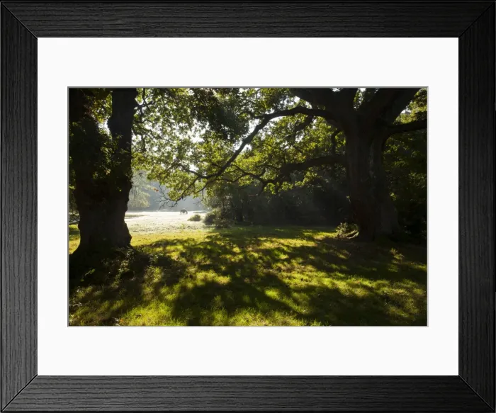 Framed Print : Picture No. 10887170