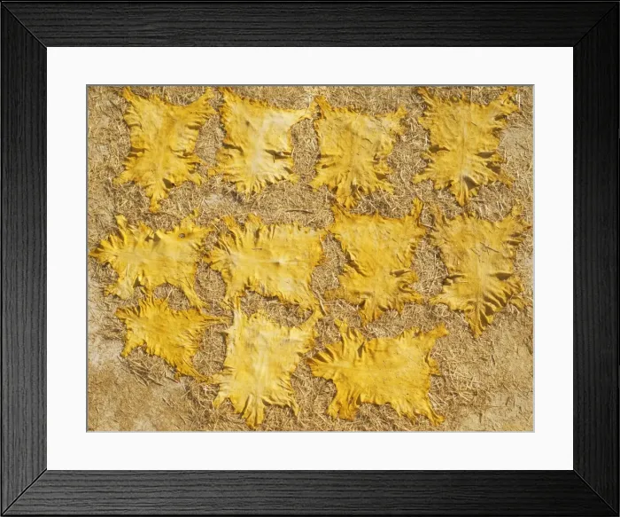 Framed Print : Picture No. 10887558 Framed Print : Picture No. 10887558