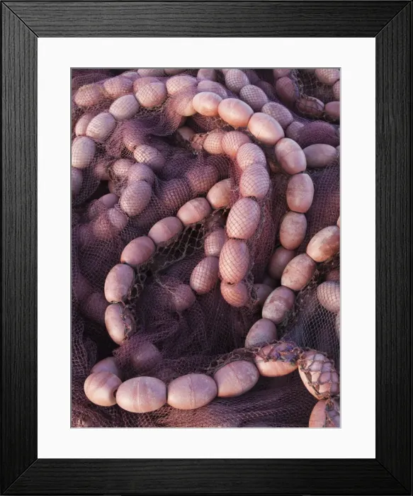 Framed Print : Picture No. 10887573 Framed Print : Picture No. 10887573