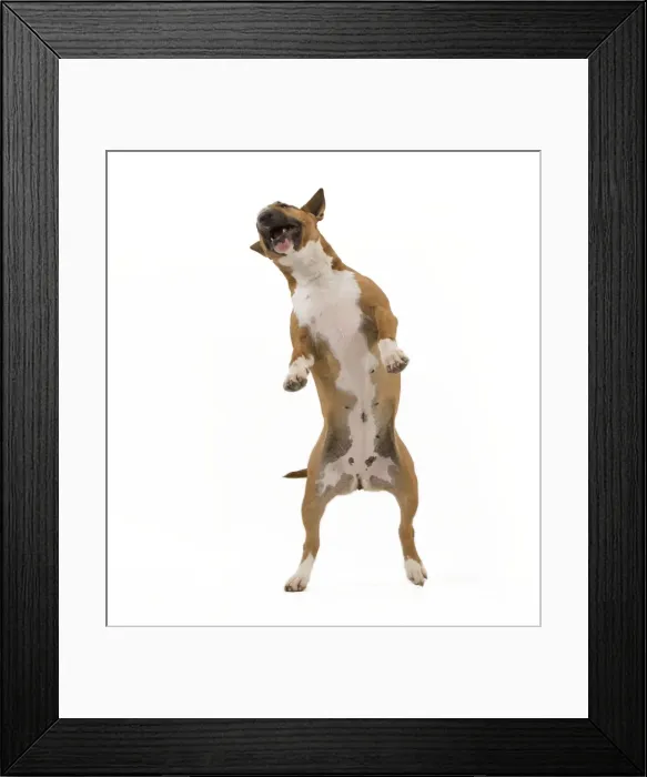 Framed Print : Picture No. 10887598