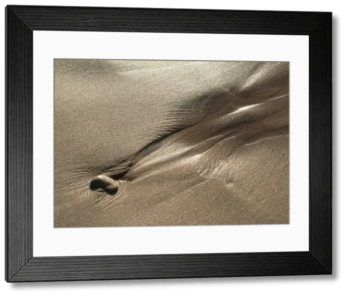 Framed Print : Picture No. 10887586 Framed Print : Picture No. 10887586