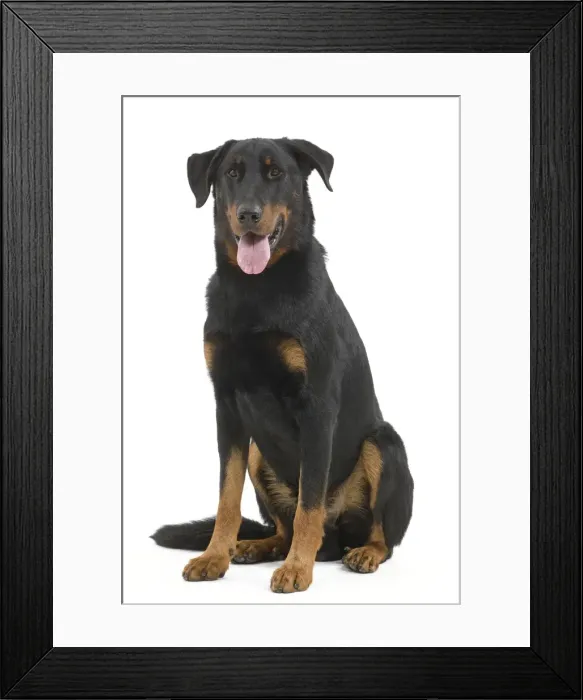 Framed Print : Picture No. 10887608 Framed Print : Picture No. 10887608