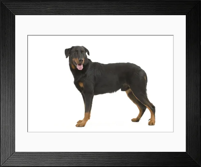 Framed Print : Picture No. 10887606 Framed Print : Picture No. 10887606