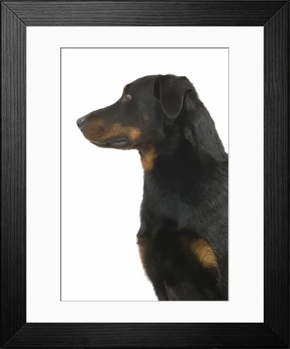 Framed Print : Picture No. 10887607 Framed Print : Picture No. 10887607