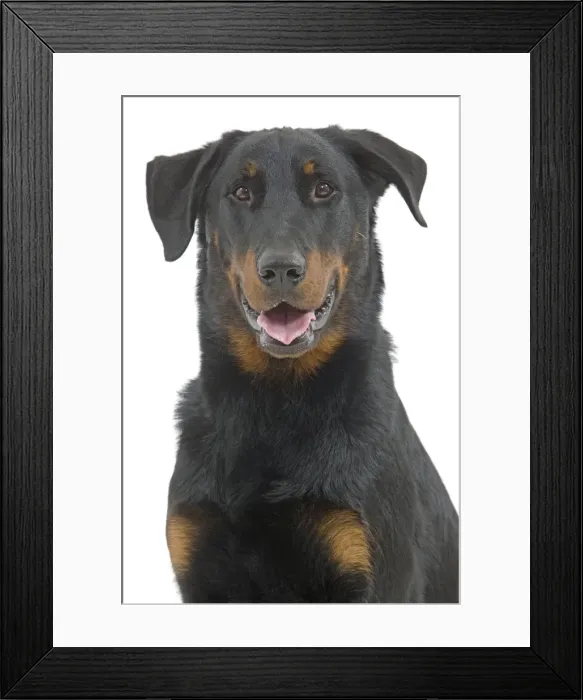 Framed Print : Picture No. 10887610 Framed Print : Picture No. 10887610