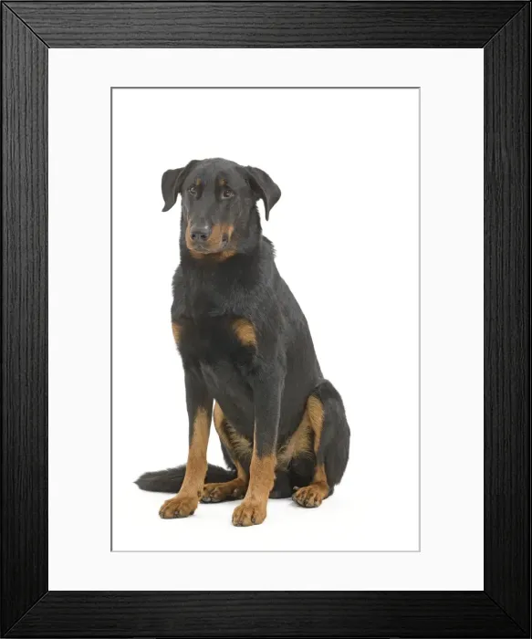 Framed Print : Picture No. 10887609 Framed Print : Picture No. 10887609