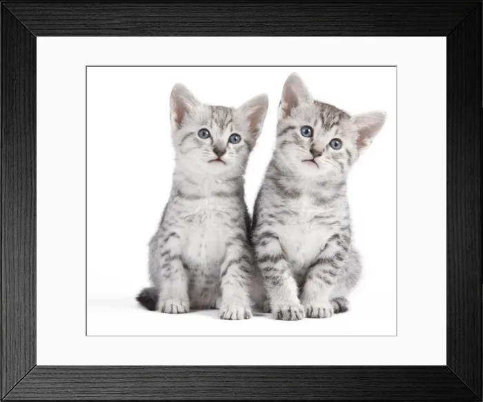 Framed Print : Picture No. 10887651 Framed Print : Picture No. 10887651
