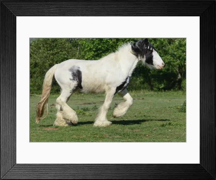 Framed Print : Picture No. 10887698 Framed Print : Picture No. 10887698