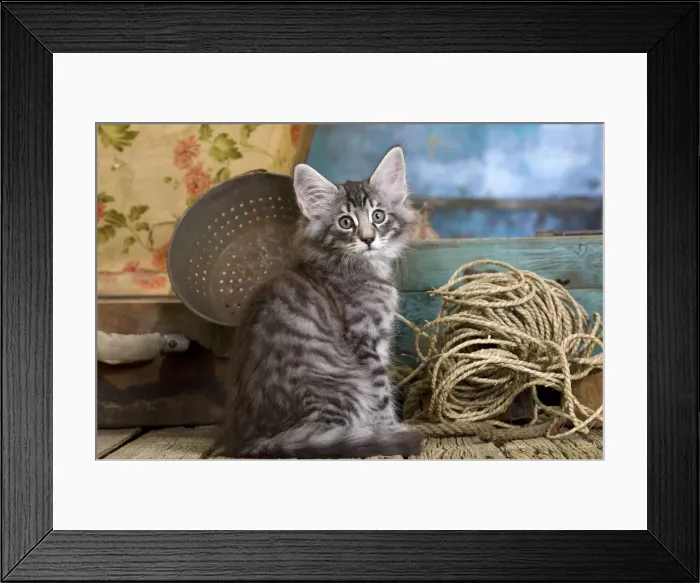 Framed Print : Picture No. 10887820 Framed Print : Picture No. 10887820