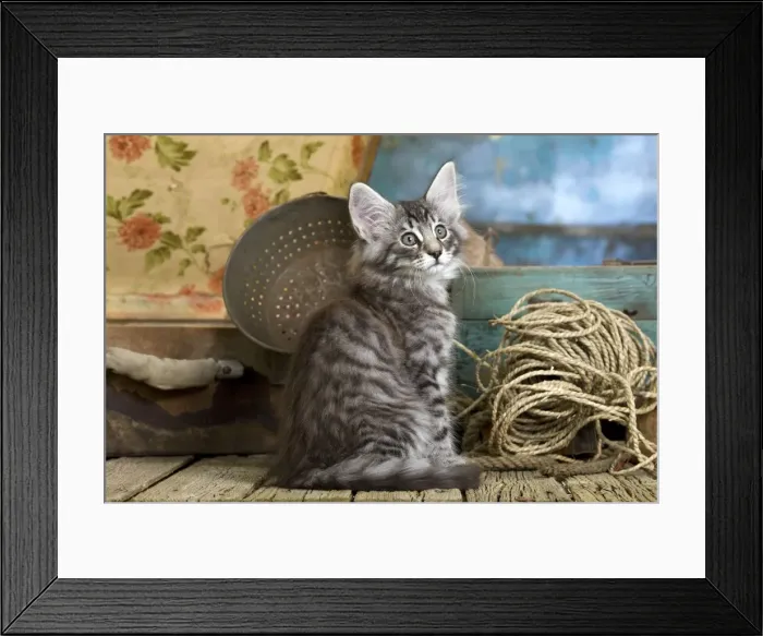 Framed Print : Picture No. 10887819 Framed Print : Picture No. 10887819