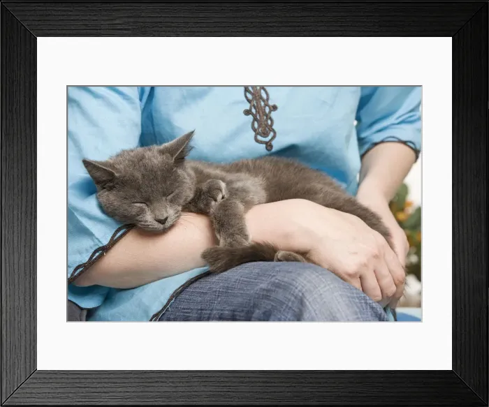 Framed Print : Picture No. 10887898 Framed Print : Picture No. 10887898