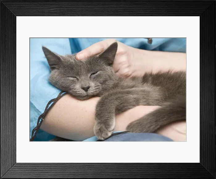 Framed Print : Picture No. 10887899 Framed Print : Picture No. 10887899