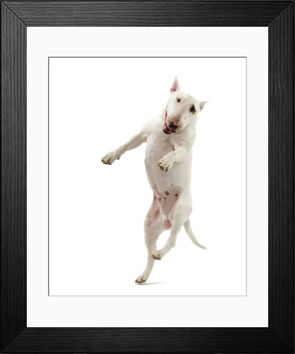 Framed Print : Picture No. 10887976 Framed Print : Picture No. 10887976
