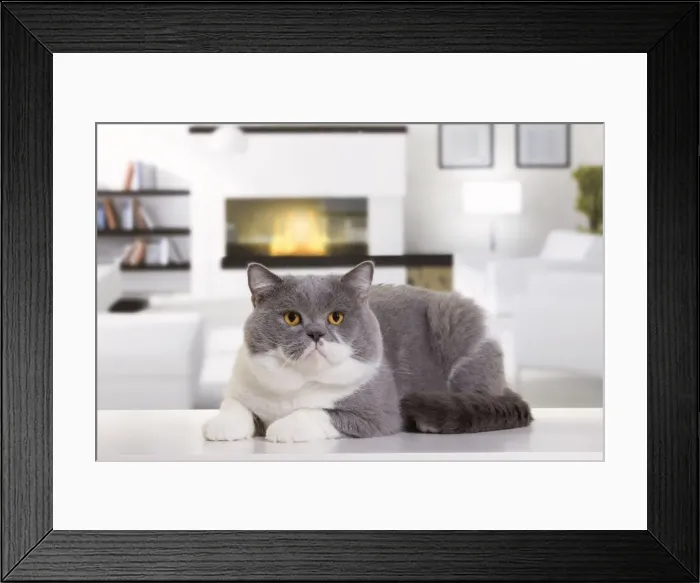 Framed Print : Picture No. 10888065 Framed Print : Picture No. 10888065