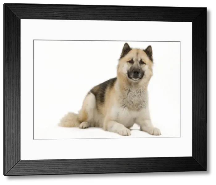 Framed Print : Picture No. 10888146 Framed Print : Picture No. 10888146