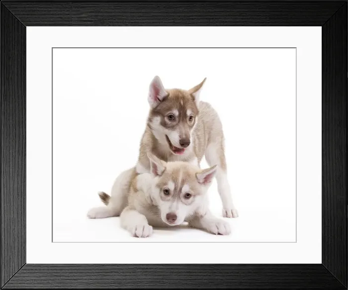 Framed Print : Picture No. 10888173 Framed Print : Picture No. 10888173