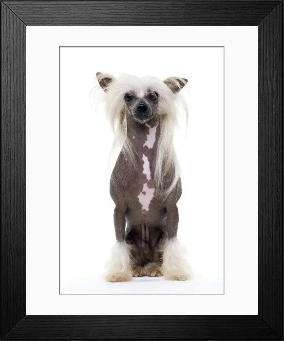 Framed Print : Picture No. 10888180