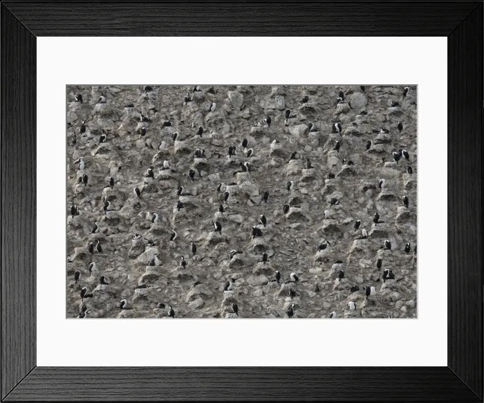 Framed Print : Picture No. 10888227 Framed Print : Picture No. 10888227