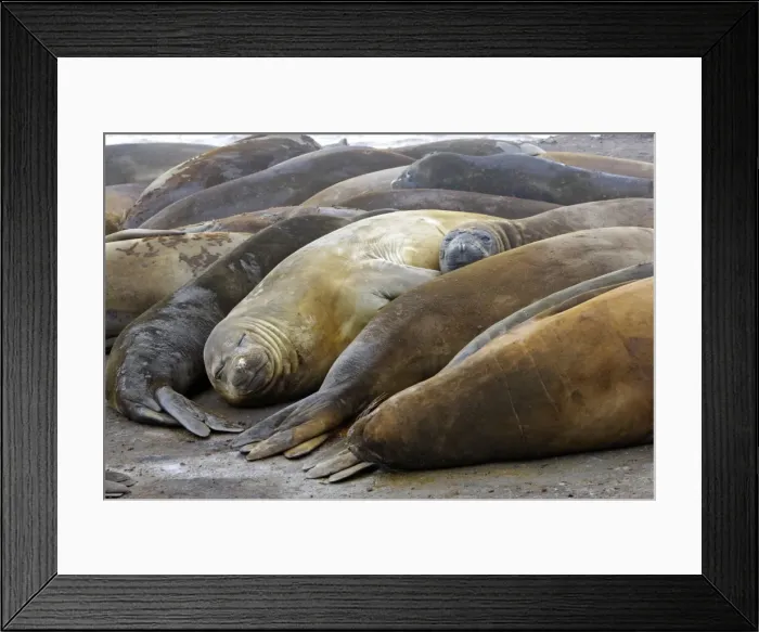 Framed Print : Picture No. 10888230 Framed Print : Picture No. 10888230