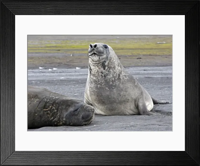 Framed Print : Picture No. 10888231 Framed Print : Picture No. 10888231