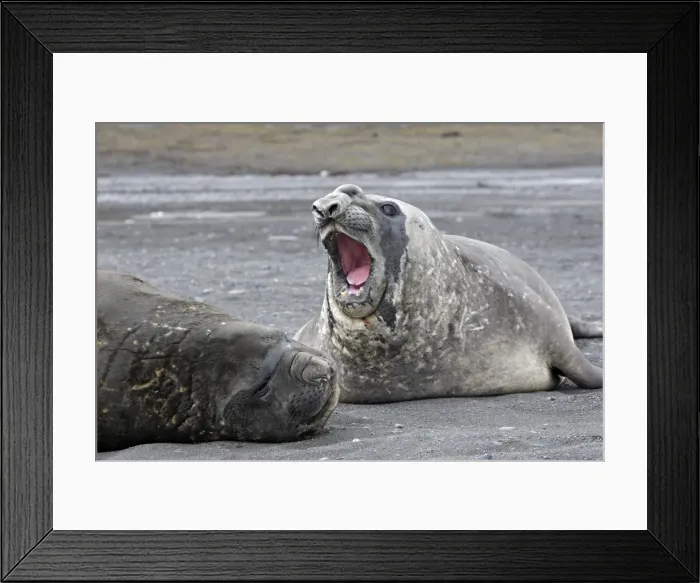 Framed Print : Picture No. 10888232 Framed Print : Picture No. 10888232