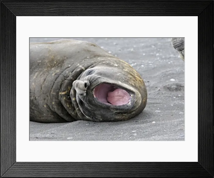Framed Print : Picture No. 10888233 Framed Print : Picture No. 10888233