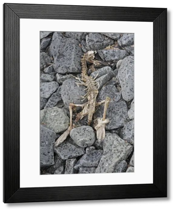Framed Print : Picture No. 10888289 Framed Print : Picture No. 10888289
