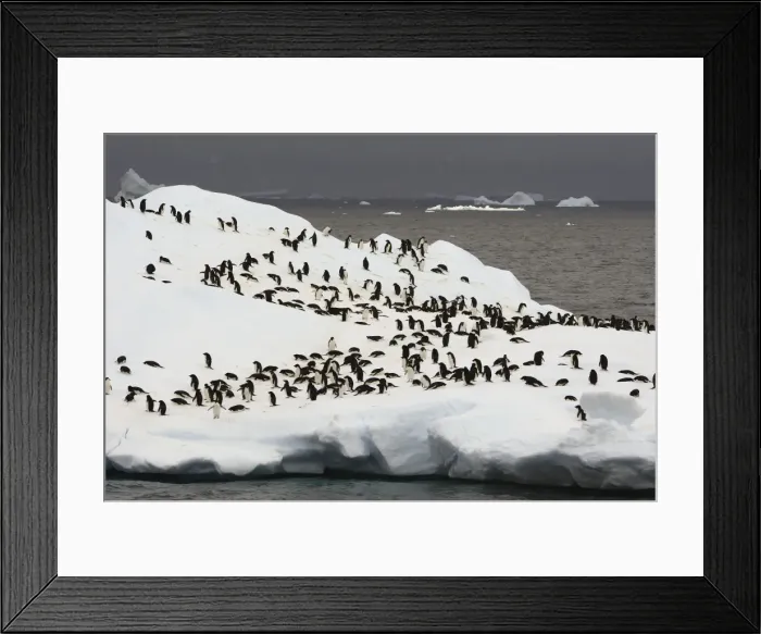 Framed Print : Picture No. 10888303 Framed Print : Picture No. 10888303