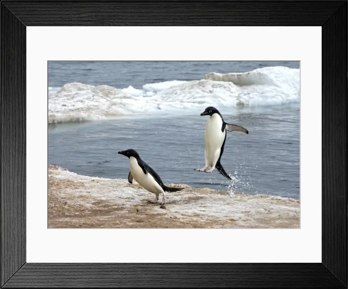 Framed Print : Picture No. 10888311 Framed Print : Picture No. 10888311