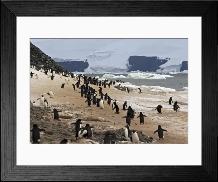 Framed Print : Picture No. 10888306 Framed Print : Picture No. 10888306
