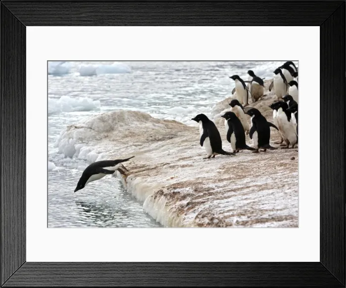 Framed Print : Picture No. 10888310 Framed Print : Picture No. 10888310