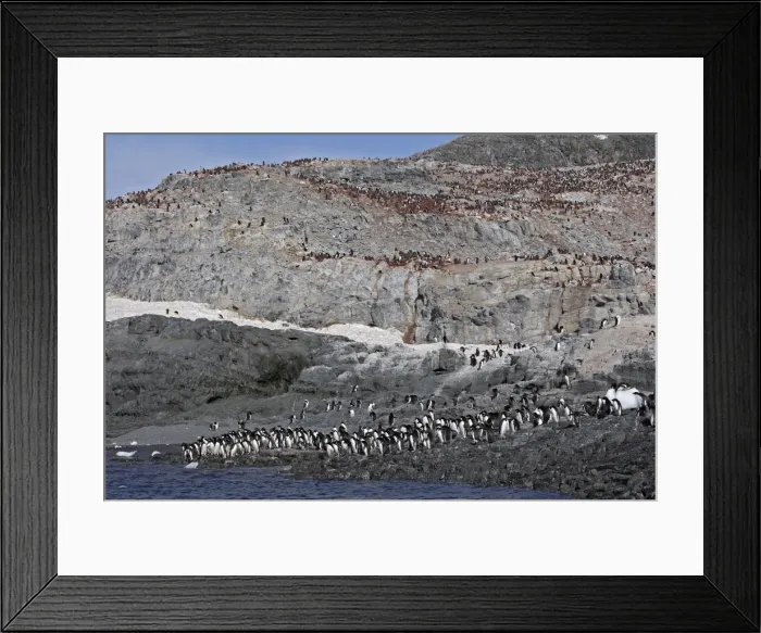 Framed Print : Picture No. 10888319 Framed Print : Picture No. 10888319