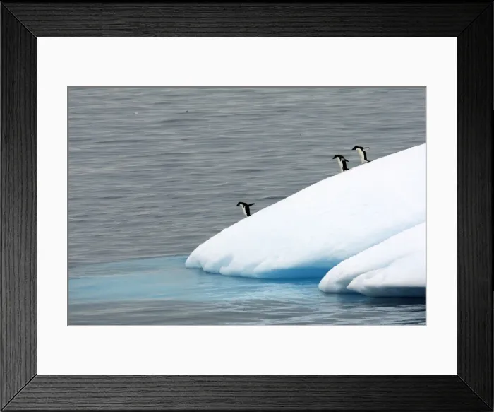 Framed Print : Picture No. 10888328 Framed Print : Picture No. 10888328