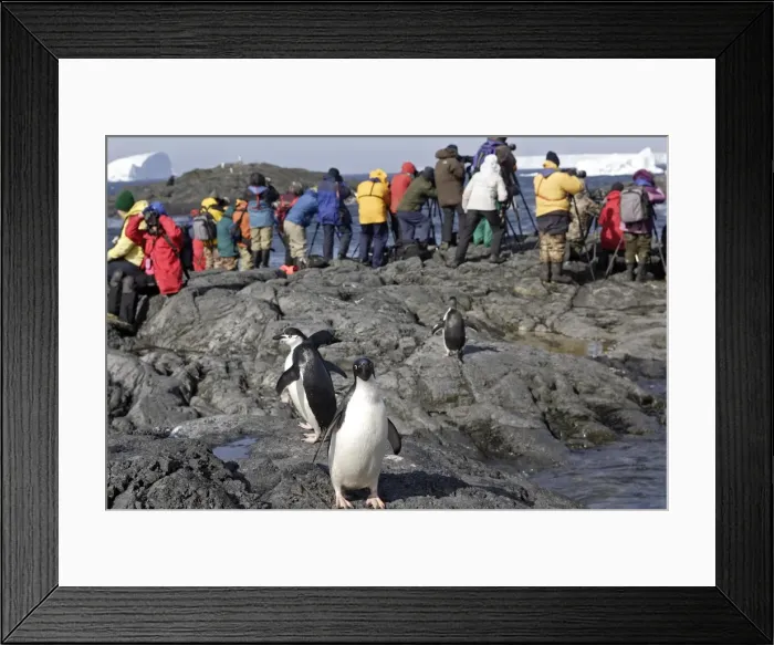 Framed Print : Picture No. 10888332 Framed Print : Picture No. 10888332